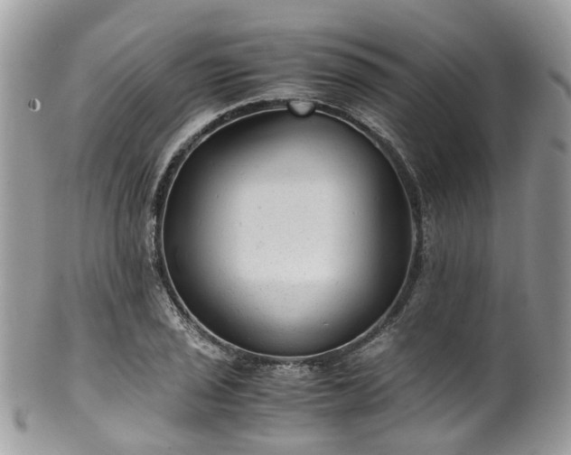 X0000100421029200806131054