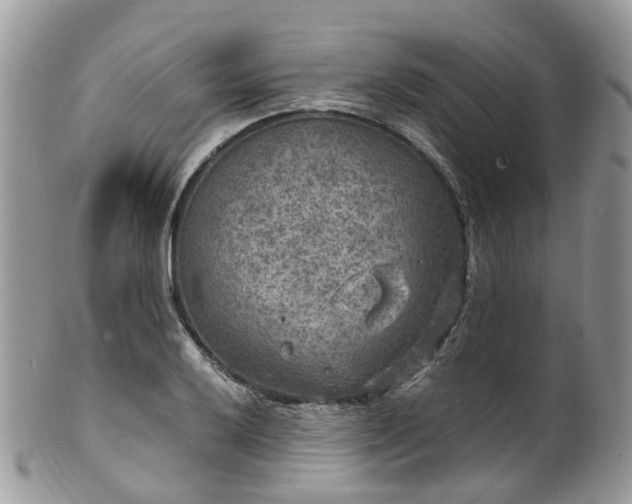 X0000100421032200806131054