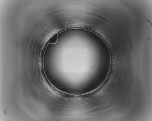 X0000100421034200806131054