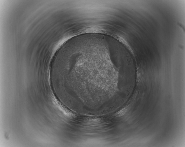 X0000100421035200806131054