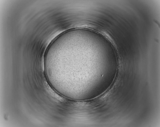 X0000100421036200806131054
