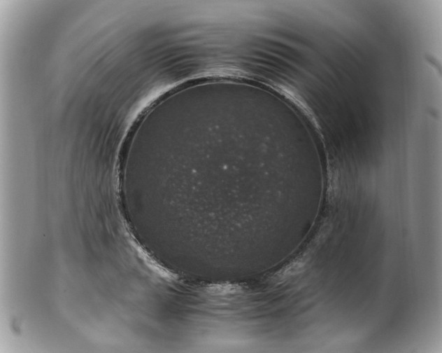 X0000100421037200806131054