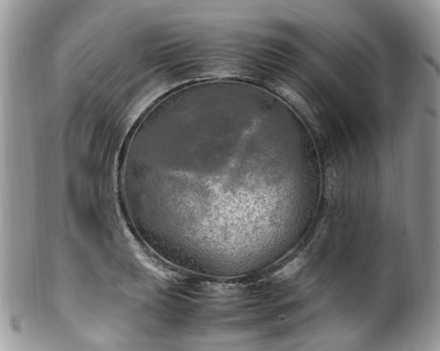 X0000100421039200806131054