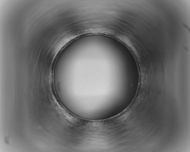 X0000100421040200806131054