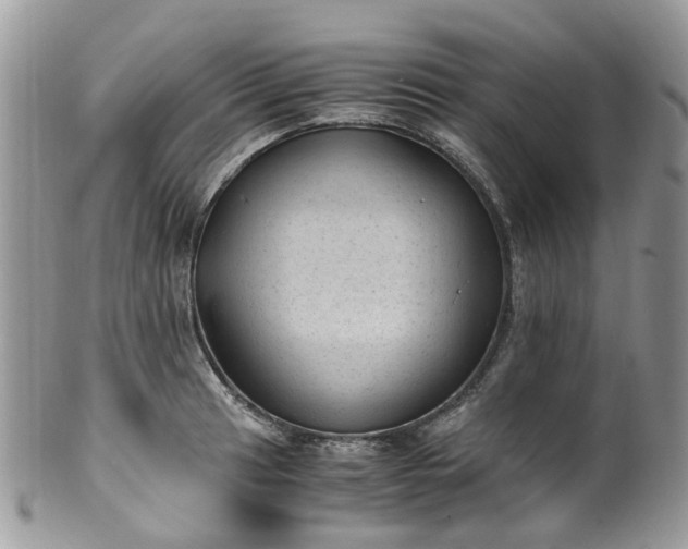 X0000100421041200806131054