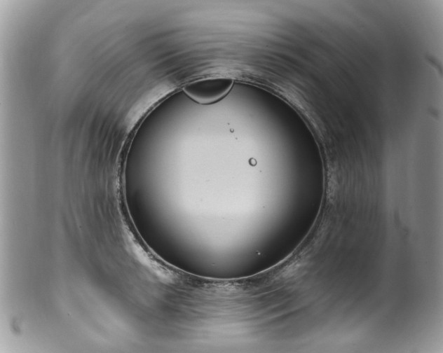 X0000100421042200806131054