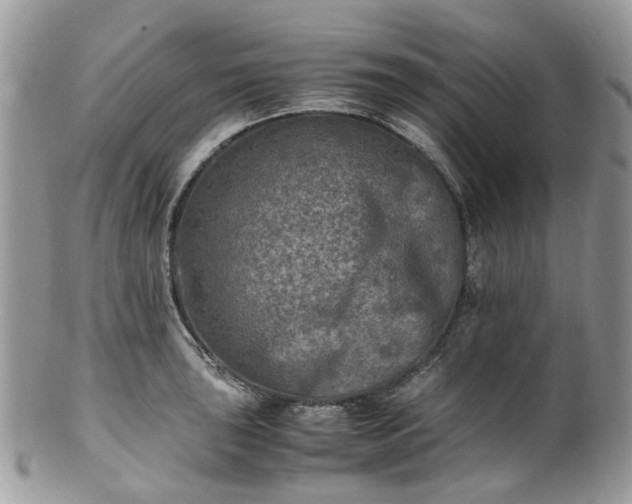 X0000100421043200806131054