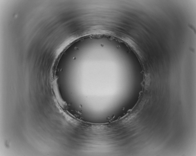 X0000100421046200806131054