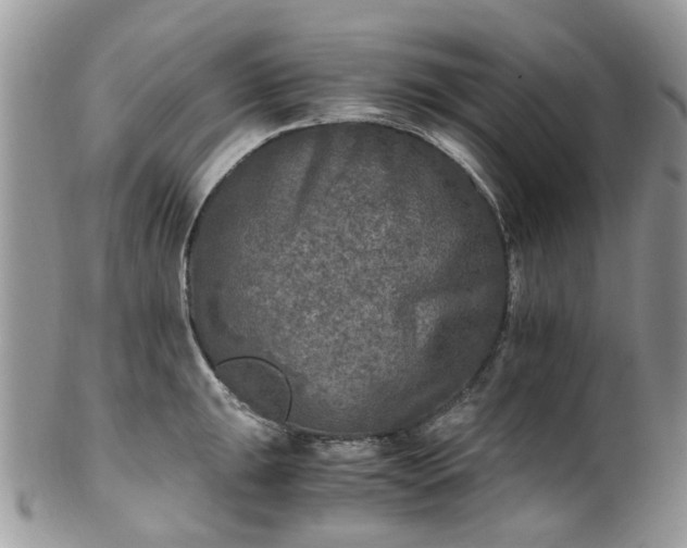 X0000100421047200806131054