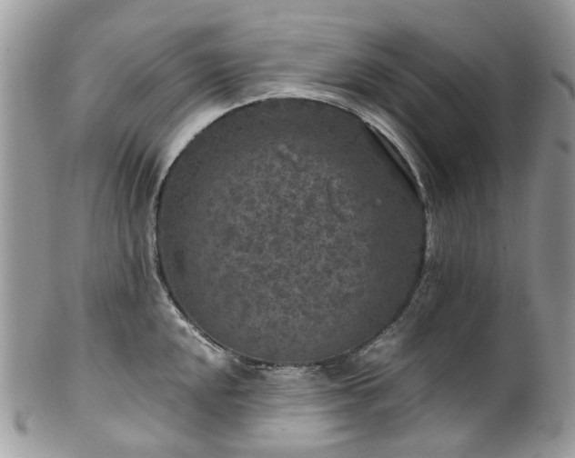 X0000100421048200806131054