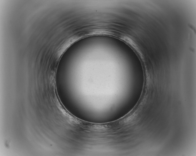 X0000100421049200806131054