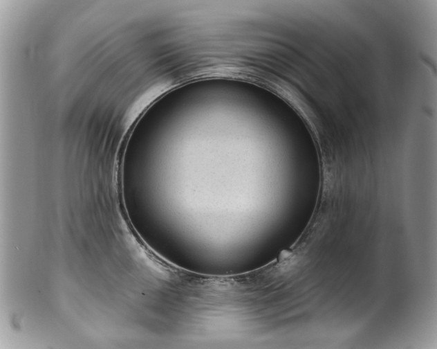 X0000100421050200806131054