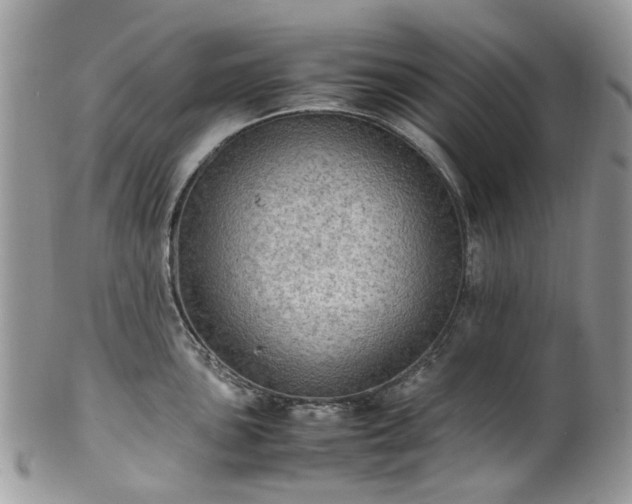 X0000100421051200806131054