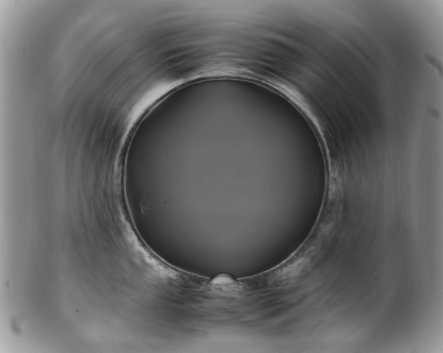 X0000100421053200806131054