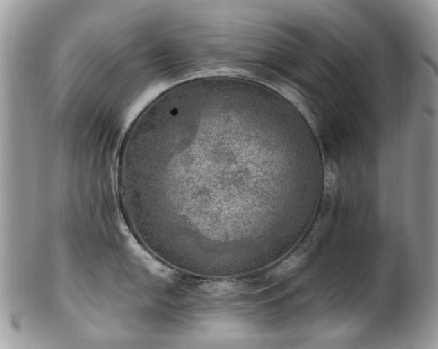 X0000100421054200806131054
