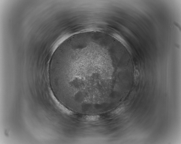 X0000100421055200806131054