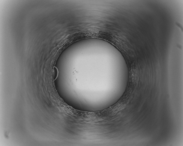 X0000100421057200806131054