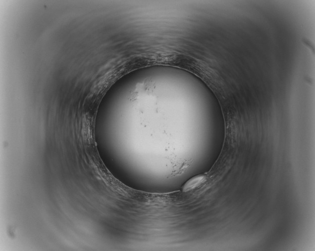 X0000100421058200806131053
