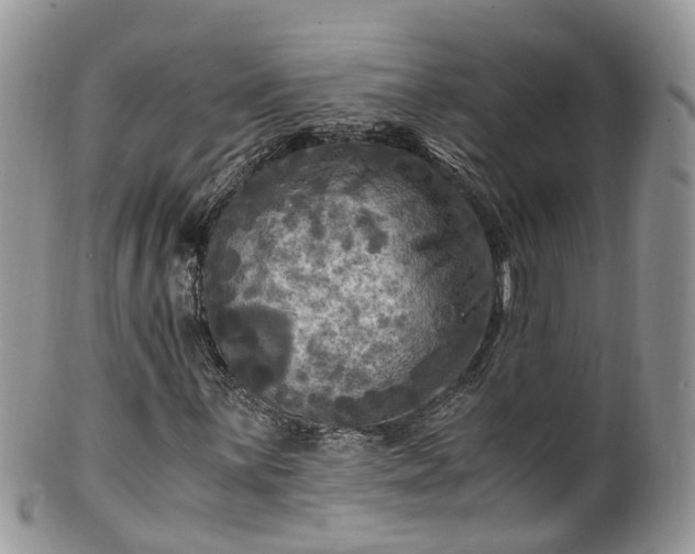 X0000100421059200806131053