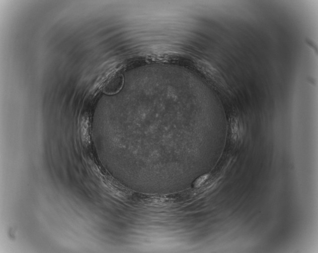 X0000100421060200806131053
