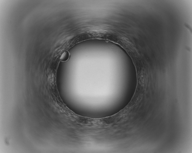 X0000100421061200806131053