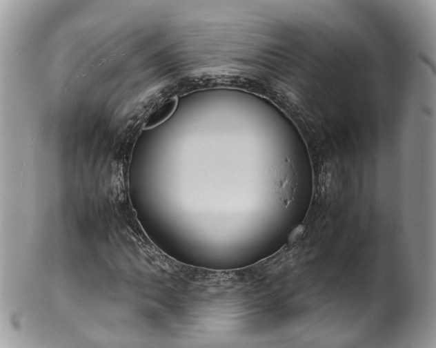 X0000100421062200806131053