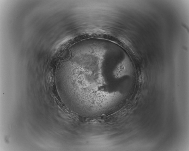 X0000100421063200806131053