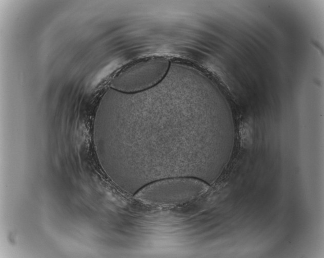 X0000100421064200806131053