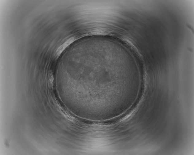 X0000100421065200806131053