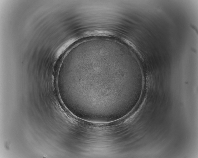 X0000100421066200806131053