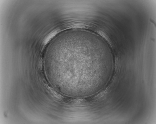 X0000100421067200806131053