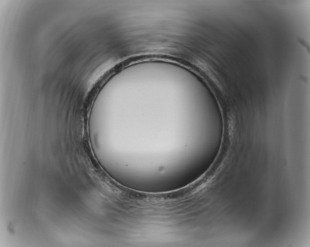 X0000100421069200806131053