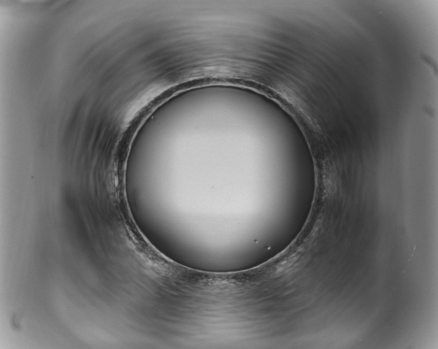 X0000100421070200806131053