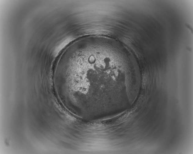 X0000100421071200806131053