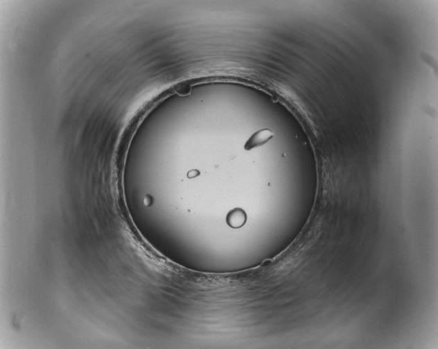 X0000100421072200806131053