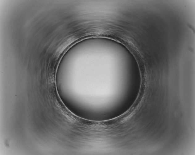 X0000100421073200806131053