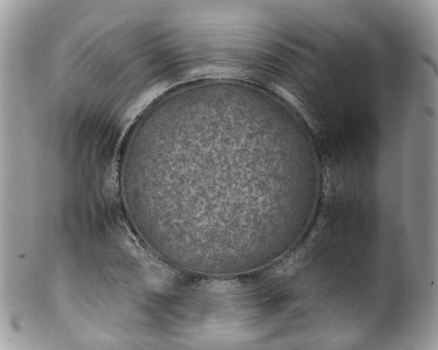 X0000100421074200806131053