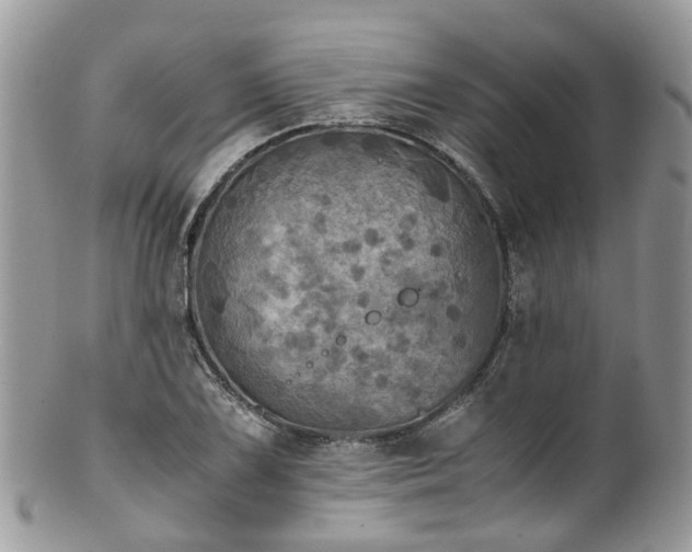 X0000100421075200806131053
