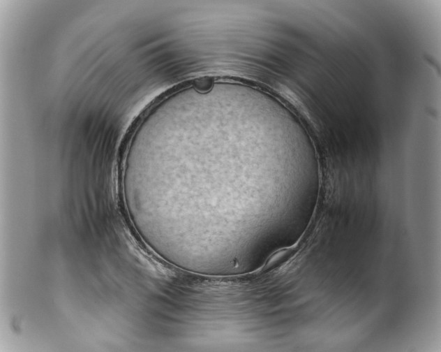 X0000100421076200806131053