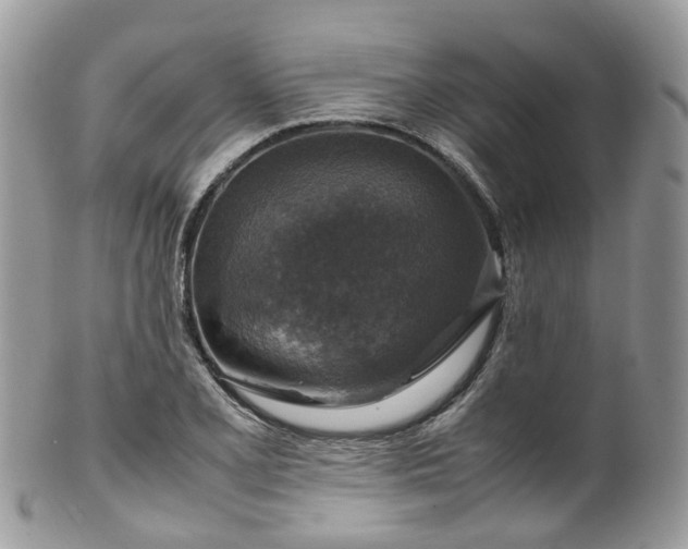 X0000100421077200806131053