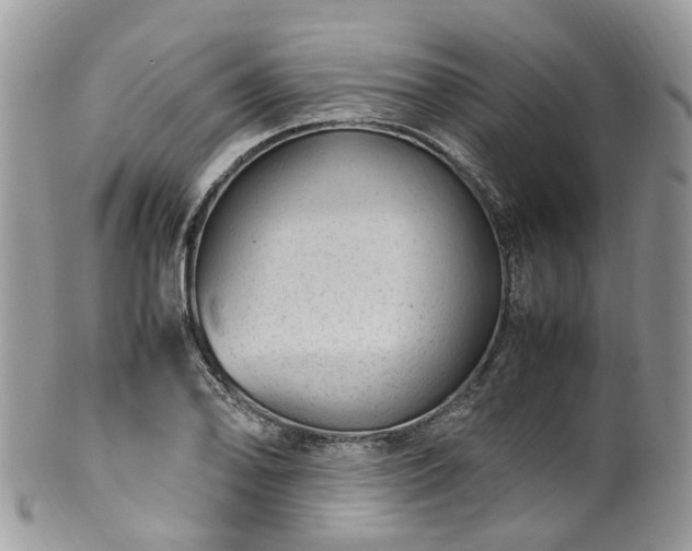 X0000100421078200806131053