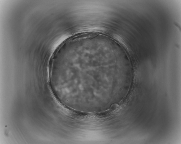 X0000100421079200806131053