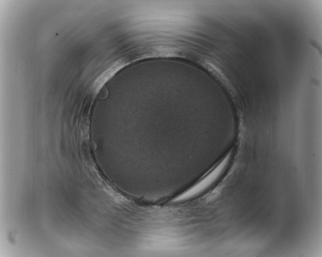 X0000100421081200806131053