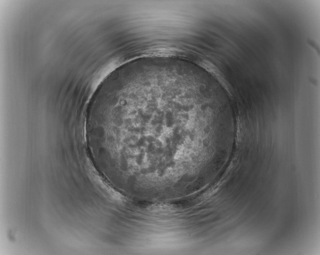 X0000100421083200806131053