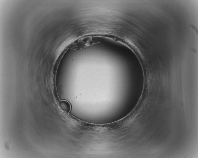 X0000100421085200806131053