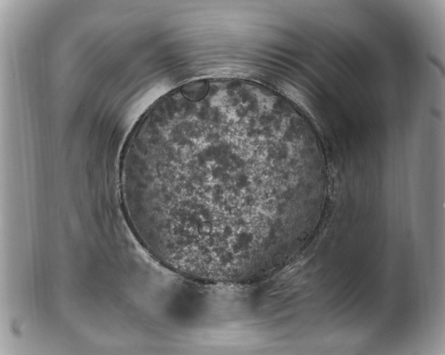 X0000100421087200806131053