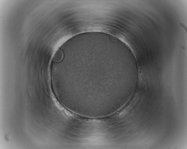 X0000100421088200806131053