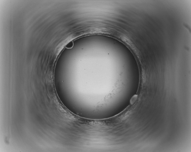 X0000100421089200806131053
