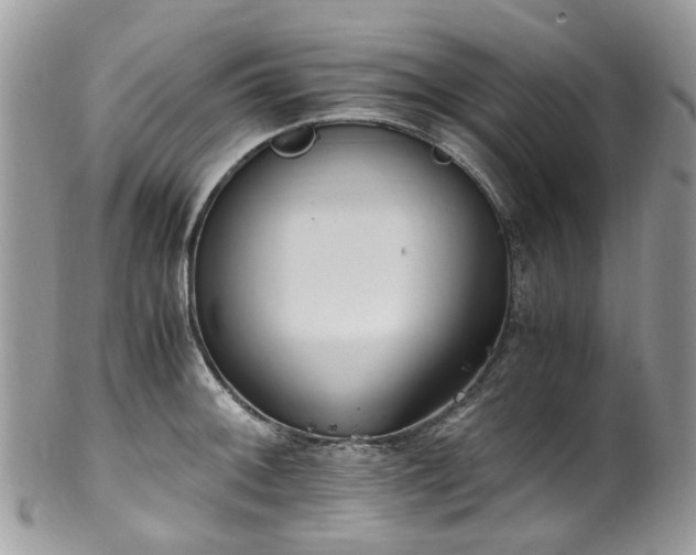 X0000100421092200806131053