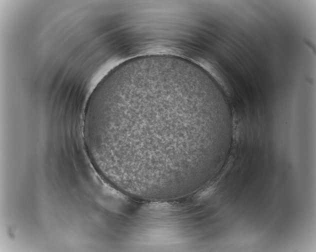 X0000100421094200806131053